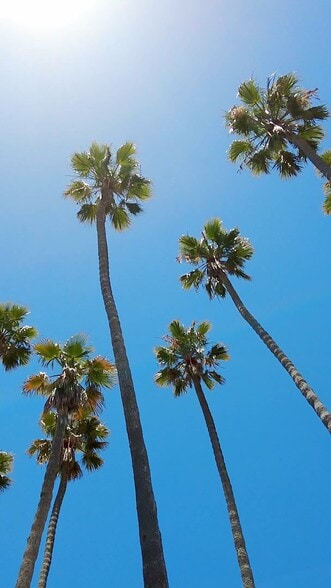 Primary Photo Of 2226-2228 Market St, San Diego Apartments For Sale