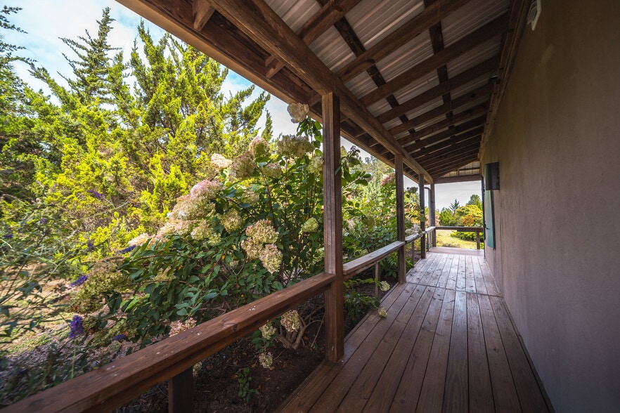 More Photos Of 295 Panthers Den Rd, Makanda Hotel For Sale