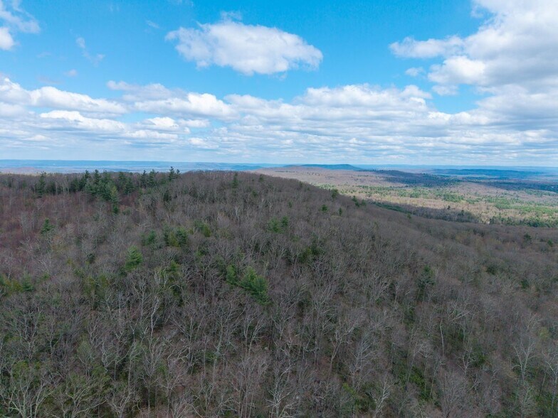 More Photos Of 291 Fomer Road, Southampton Land For Sale