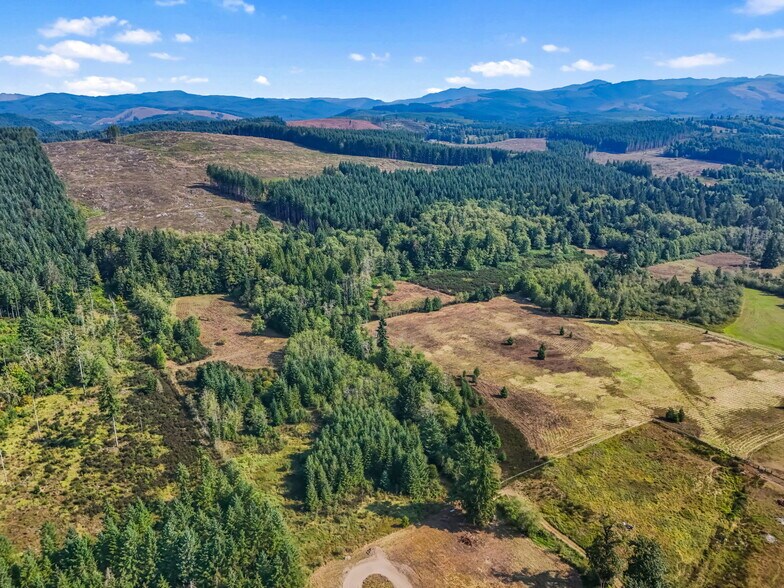 More Photos Of 104 Bills Ln, Onalaska Land For Sale