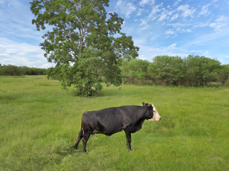 More Photos Of 868 Lisa Mae rd, Bellville Land For Sale