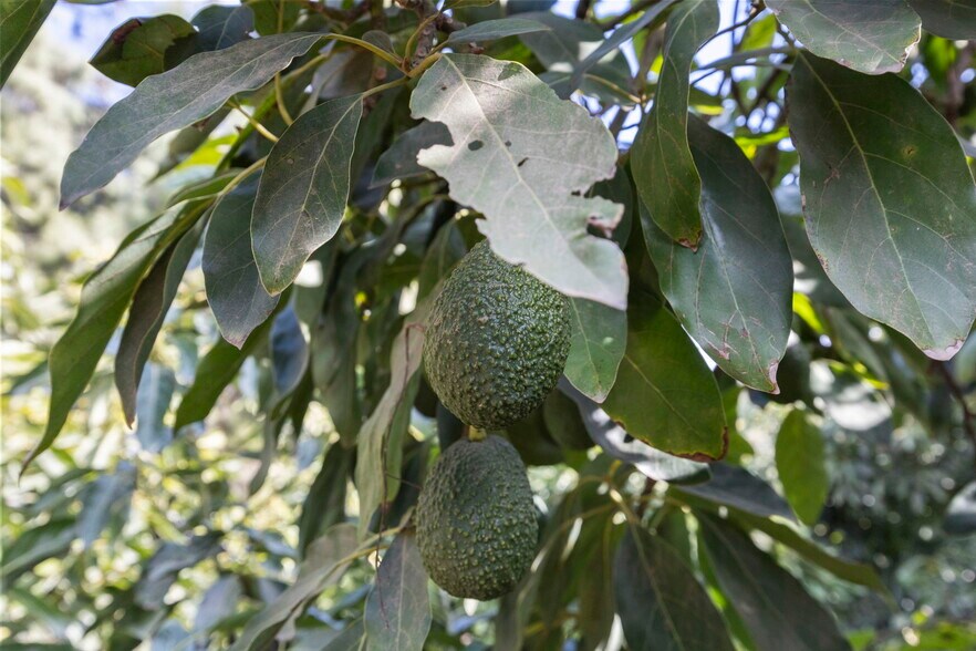 More Photos Of 0 Laguna Rd., Oxnard Land For Sale