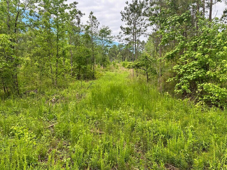 More Photos Of Satcher Road Rd, Taylorsville Land For Sale