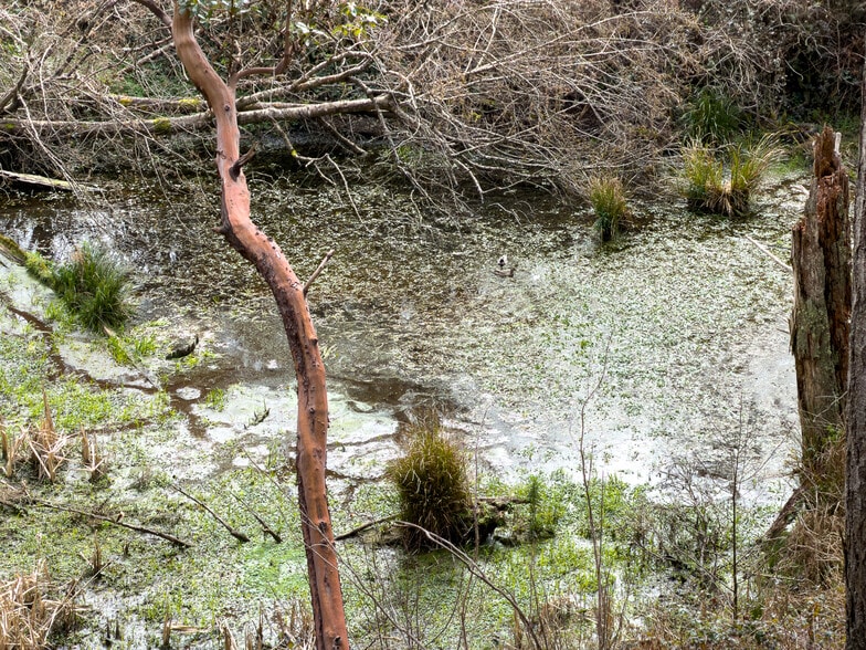 More Photos Of 46914 US-101, Bandon General Retail For Sale