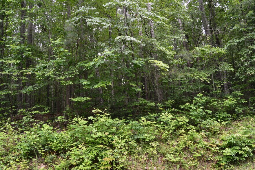 More Photos Of 0 Tom Wright Rd, Franklinton Land For Sale