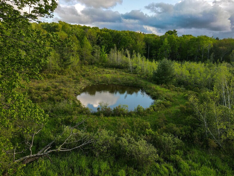 More Photos Of 1 Snow Hill Rd, Parksville Land For Sale
