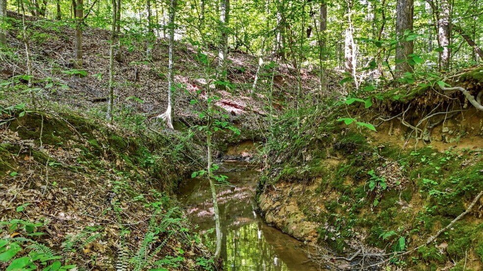 More Photos Of 1443 Henderson Rd, Gray Court Land For Sale