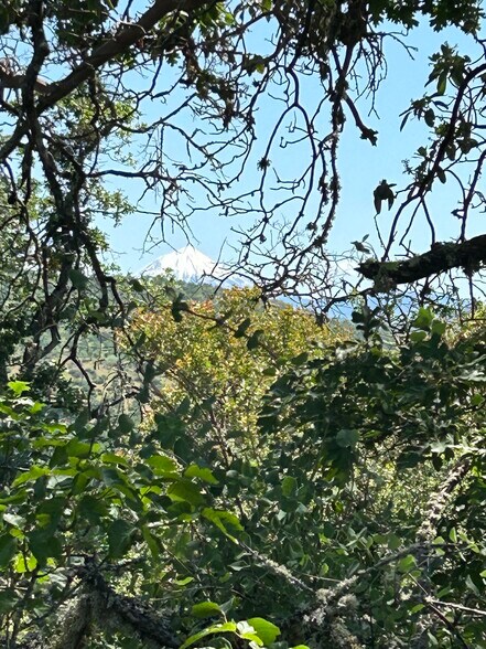 More Photos Of 5908 Foothill Rd, Central Point Land For Sale