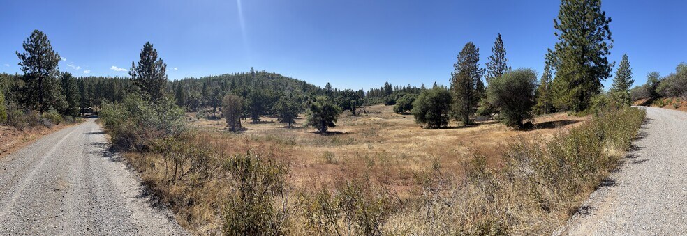 Primary Photo Of 7559 Alamo Rd, Mountain Ranch Land For Sale