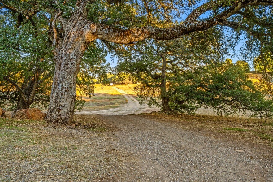 More Photos Of 25258 Mesa Grande Rd, Santa Ysabel Land For Sale