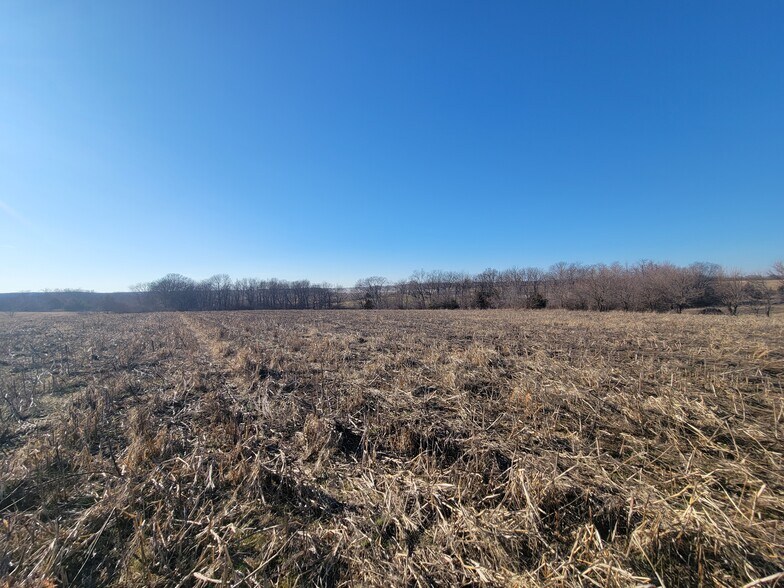 More Photos Of 171 Windy Hill Rd. (20+/- Acres), Elsberry Land For Sale