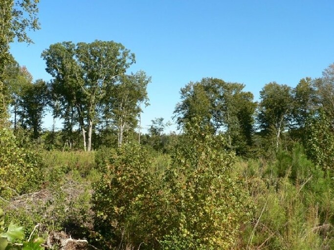 More Photos Of 16215 Eltham Rd, Lanexa Land For Sale