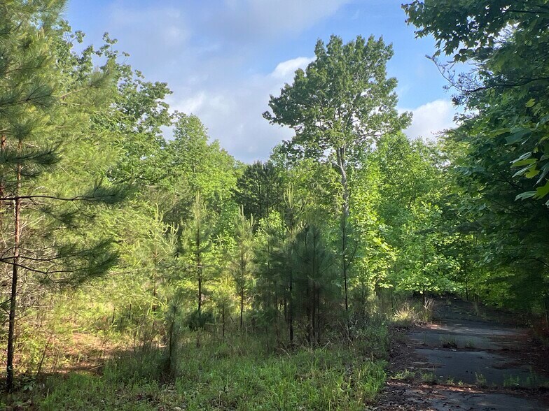 More Photos Of 395 Able rd, Waleska Land For Sale