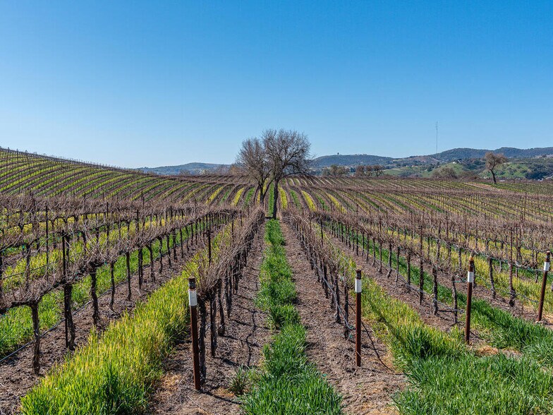 More Photos Of 3925 Buena Vista, Paso Robles Land For Sale