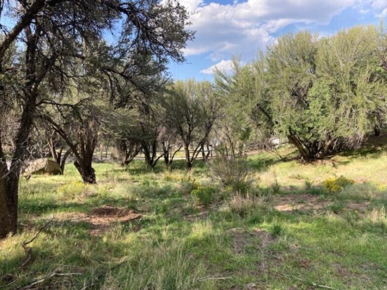More Photos Of 200 325 S, Pine Valley Land For Sale