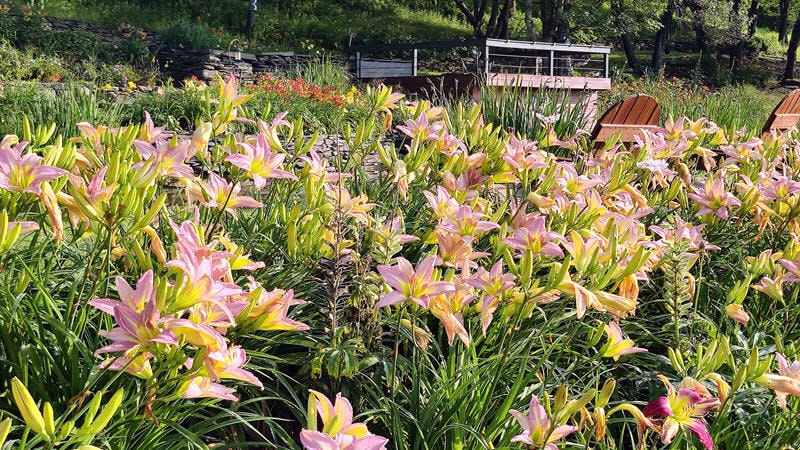 More Photos Of 304 Sutherland Rd, East Meredith Specialty For Sale