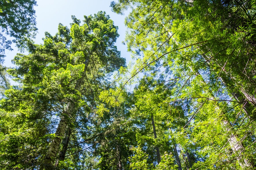 More Photos Of 16401 South Highway 1, Manchester Land For Sale