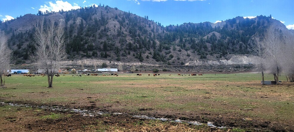 More Photos Of 411 Violet Lane, Eagle Land For Sale