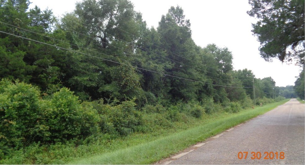 More Photos Of Magnolia Rd, Marianna Land For Sale