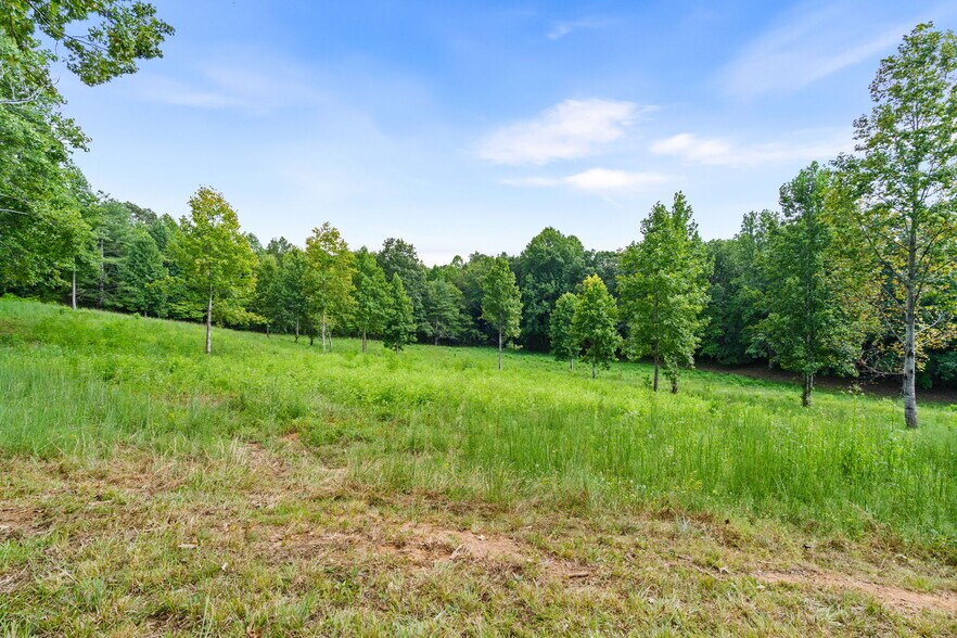 More Photos Of 314 Lakeside dr, Hiawassee Land For Sale