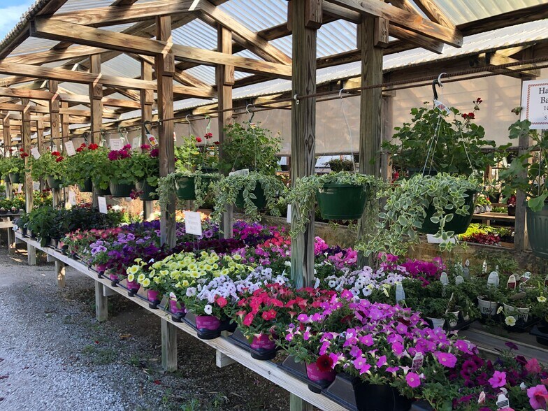 More Photos Of 2798 Highway 23 N, Eureka Springs Garden Center For Sale