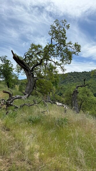 More Photos Of 14718 CA-155 Hwy, Glennville Land For Sale