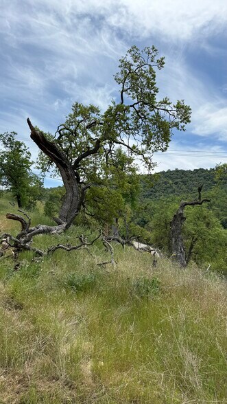 More Photos Of 14718 CA-155 Hwy, Glennville Land For Sale