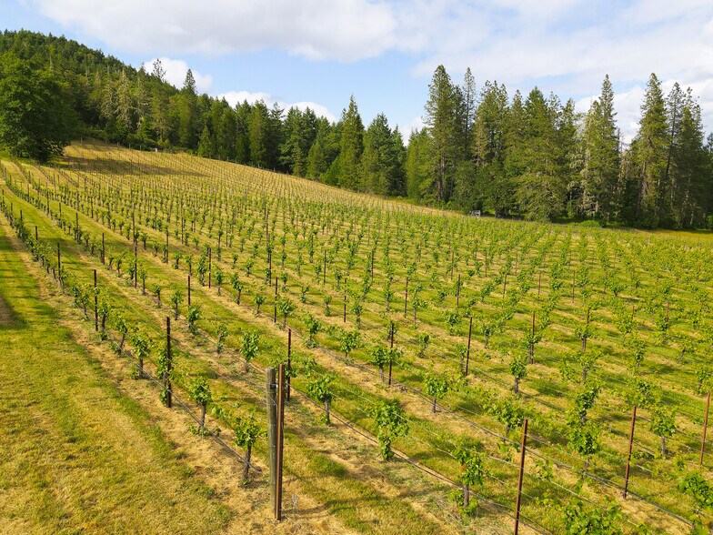 More Photos Of 1329 Larson Rd, Roseburg Winery Vineyard For Sale