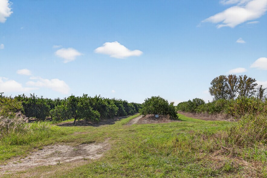 More Photos Of 8476 Ten Mile Grade, Zolfo Springs Land For Sale