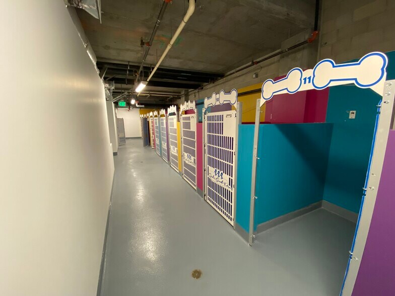 More Photos Of 1243 S Olive St, Los Angeles Apartments For Lease