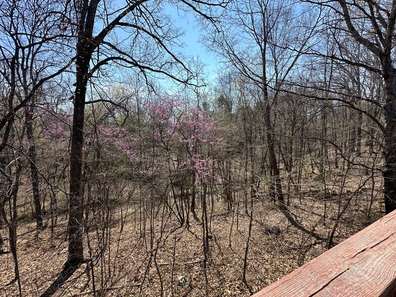 More Photos Of 7312 Highway 60, Georgetown Land For Sale