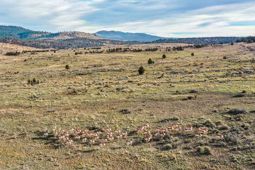 More Photos Of 28000 SE Paulina Hwy, Prineville Land For Sale
