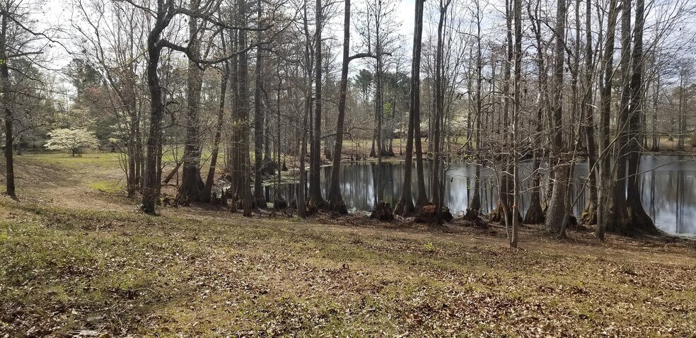 More Photos Of 16001 Highway 17, Hampstead Land For Sale