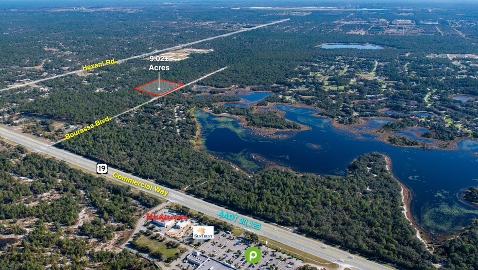 More Photos Of 11011 Bourassa Blvd, Brooksville Land For Sale
