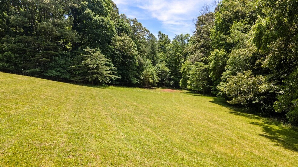 More Photos Of 503 Dowdle Mountain Rd, Franklin Land For Sale
