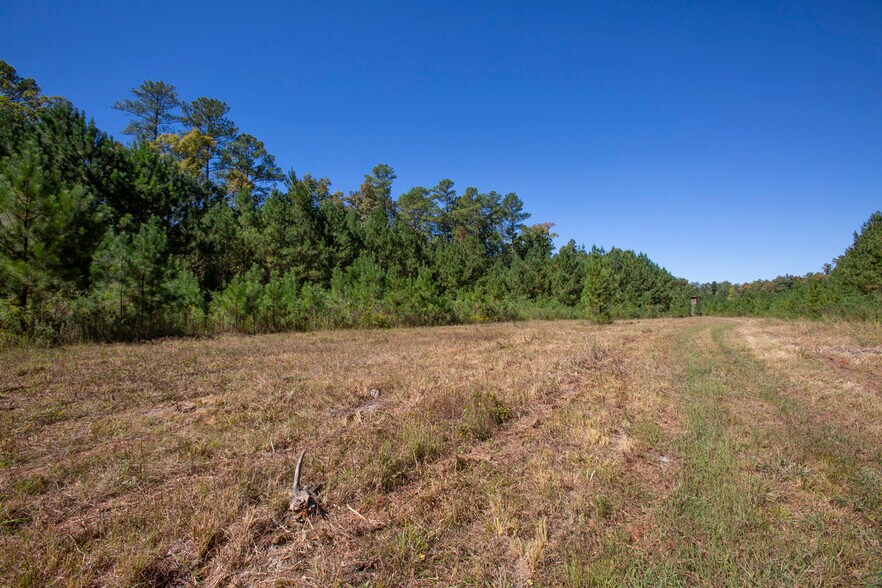 More Photos Of Walter Bright Road & 15-501, Sanford Land For Sale
