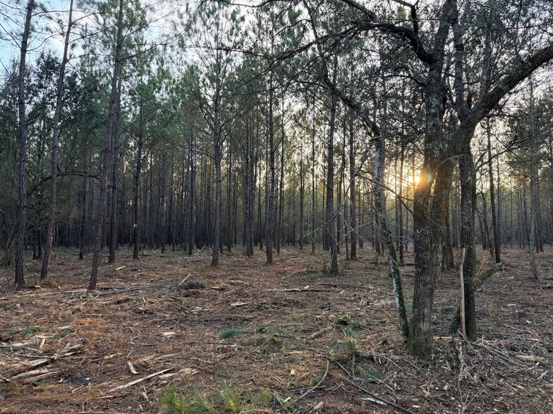 More Photos Of 319 - 547 Sisters Ferry Road, Ridgeland Land For Sale