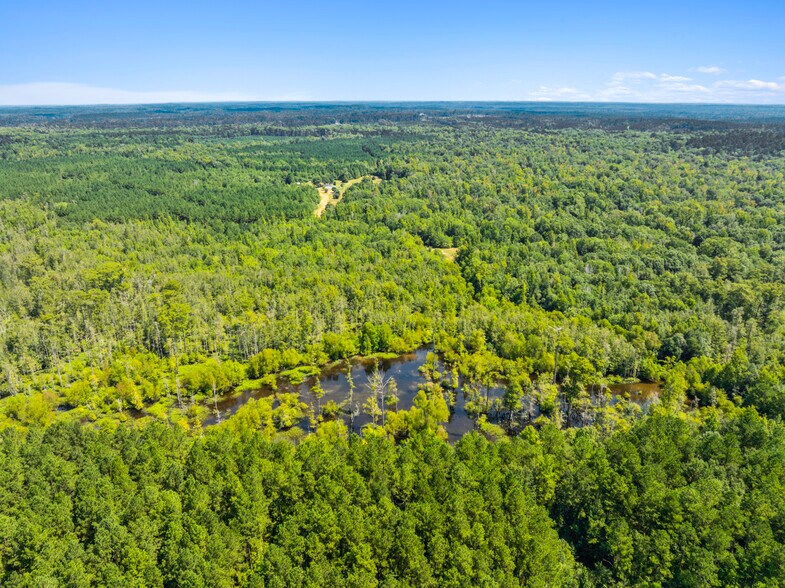 More Photos Of 7471 Highway 155, Saline Land For Sale