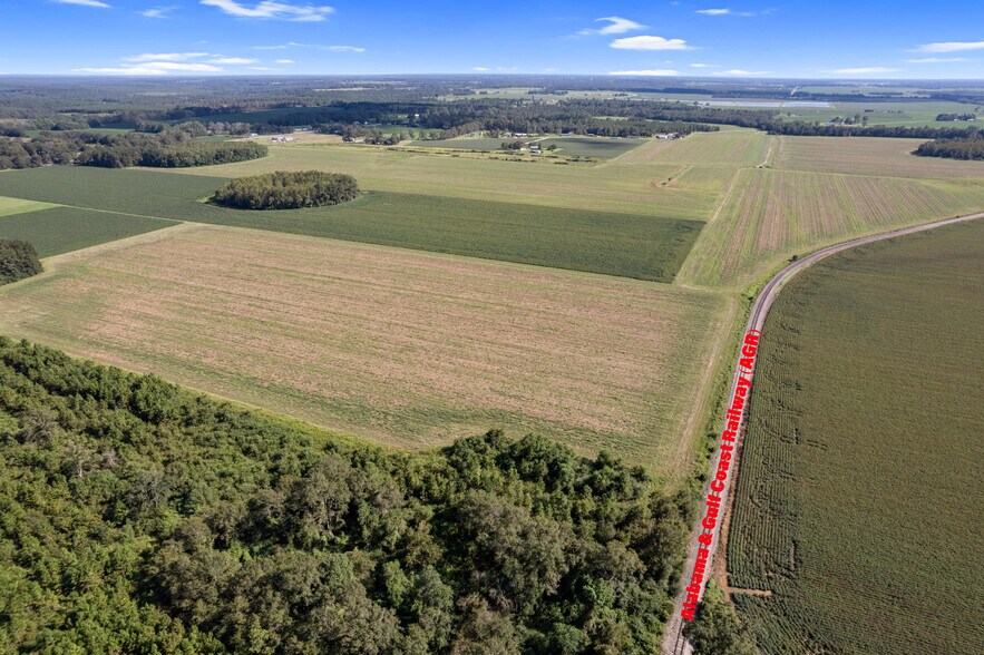 More Photos Of 5700 Pine Forest Rd, Walnut Hill Land For Sale