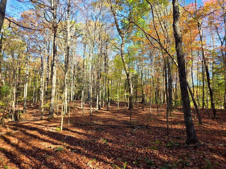 More Photos Of 0 Old Pluto Rd, Shady Spring Land For Sale