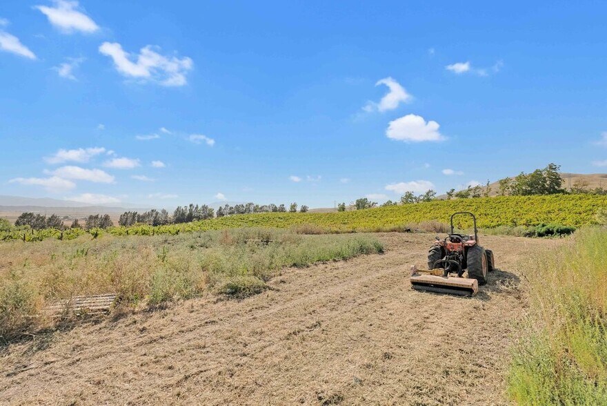 More Photos Of 3001 Sears Point Rd, Sonoma Winery Vineyard For Sale