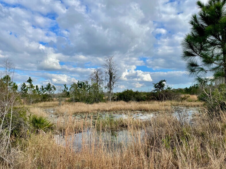More Photos Of 19858 State Road 52, Land O' Lakes Land For Sale