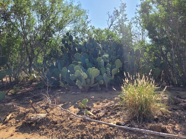 More Photos Of , Laredo Land For Sale