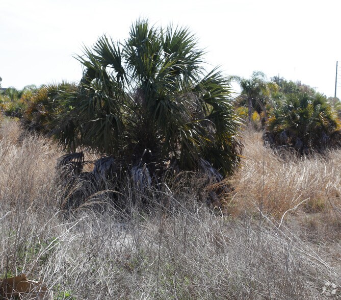 More Photos Of 8460 Littleton Rd, North Fort Myers Land For Sale