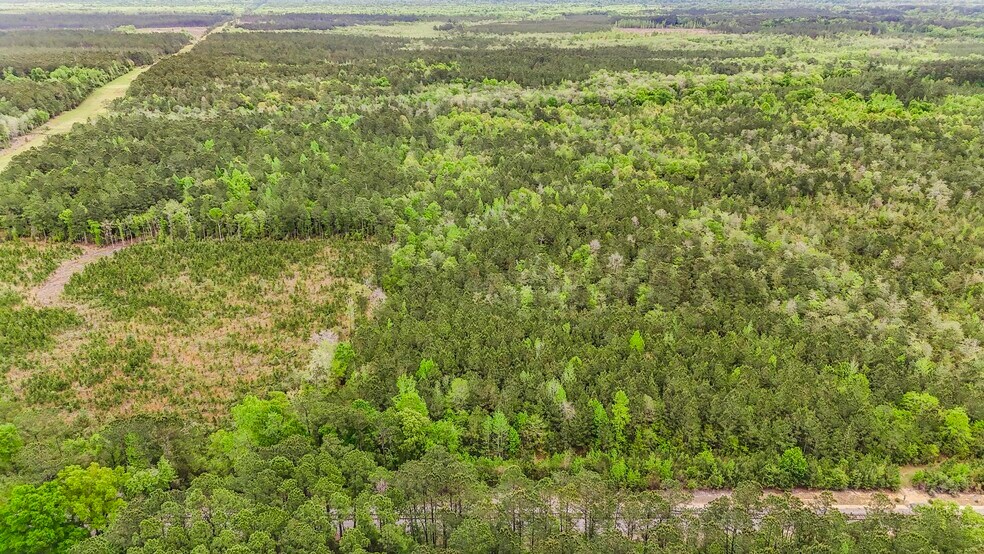 More Photos Of 20000 U.S. 43, Mount Vernon Land For Sale