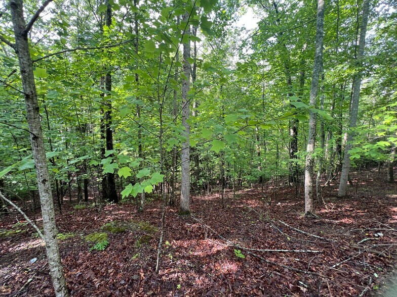 More Photos Of 395 Able rd, Waleska Land For Sale