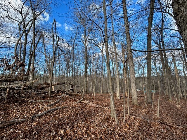 More Photos Of 4355 Old Roxbury Rd, Brookeville Land For Sale