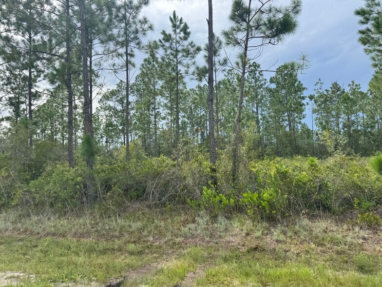 More Photos Of Noah Raulerson Road, Sanderson Land For Sale