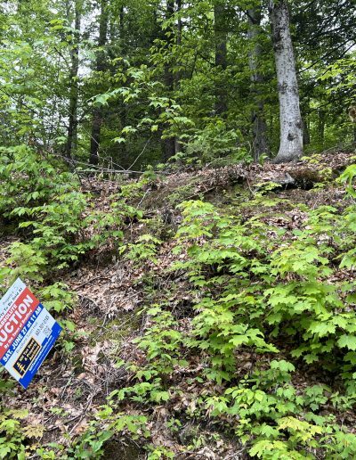 More Photos Of 225 Washington Rd, Bradford Land For Sale