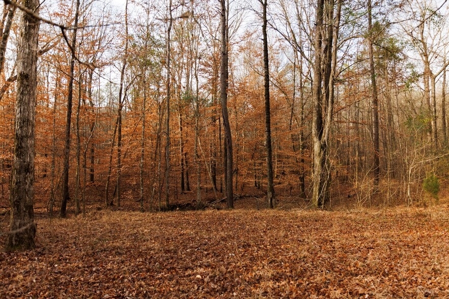 More Photos Of Jug Factory Road, Wetumpka Land For Sale
